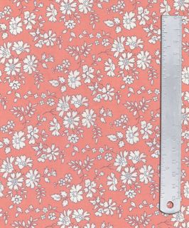 CAPEL 2GZ 036375538X