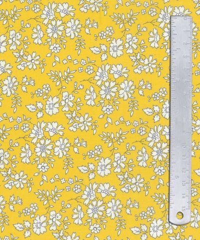 CAPEL 2GZ 036359131X