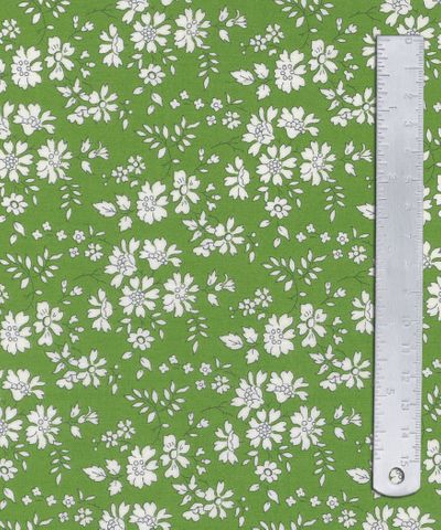 CAPEL 2GZ 036359131Z