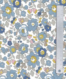 BETSY 2GZ 036375510Z