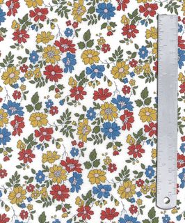 CAPEL FLORET 2GZ 036375536Z