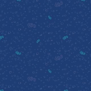 OCEAN JOY COORDINATES