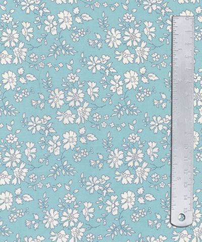 CAPEL 2GZ 036375538Y