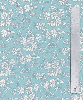 CAPEL 2GZ 036375538Y