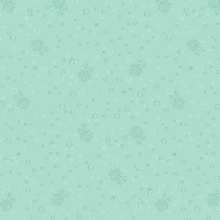 OCEAN JOY COORDINATES