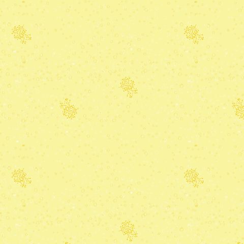 OCEAN JOY COORDINATES