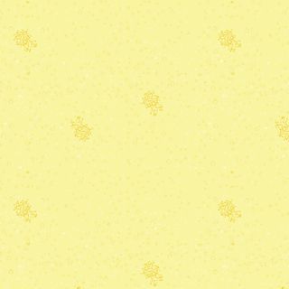 OCEAN JOY COORDINATES