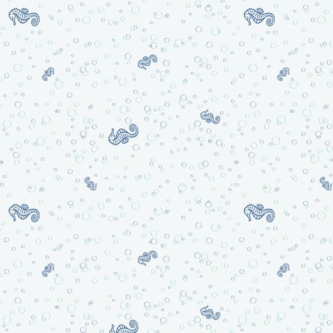 OCEAN JOY COORDINATES