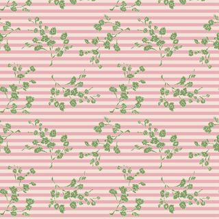 DARLING BUDS OF MAY ROSALINE 1