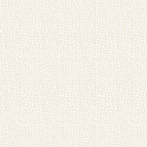 OUT & ABOUT BACKGROUND