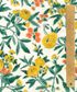 BLOOM SERENADE MATILDA TRAIL X