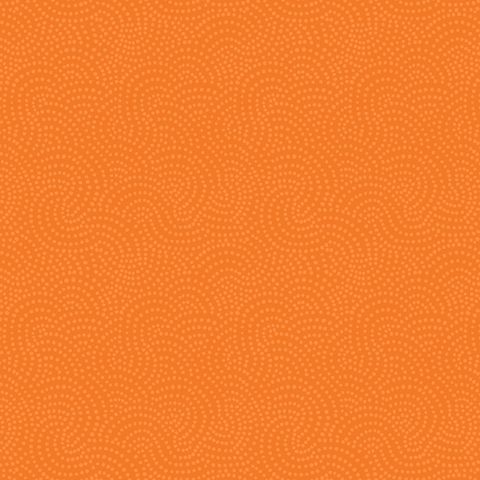 SWIRL PUMPKIN