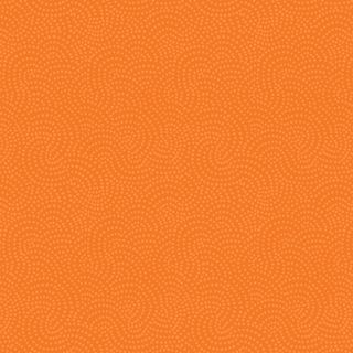 SWIRL PUMPKIN