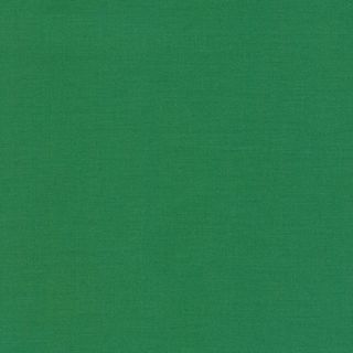 KONA SOLIDS 1141 FERN