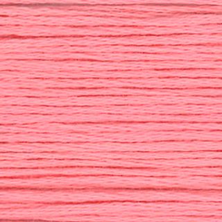 EMBROIDERY FLOSS 834