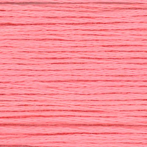 EMBROIDERY FLOSS 834