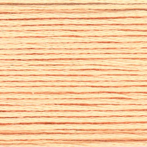 EMBROIDERY FLOSS 341
