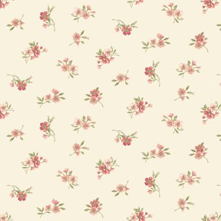 SWEET BLUSH ROSE