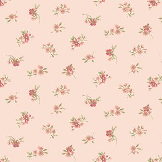 SWEET BLUSH ROSE