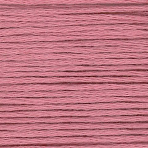 EMBROIDERY FLOSS 813