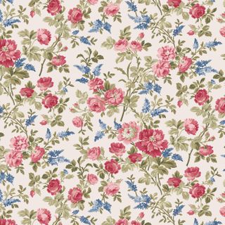 BELLES PIVOINES