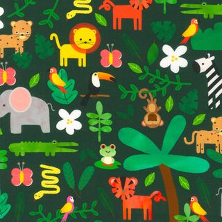 RAINFOREST FRIENDS