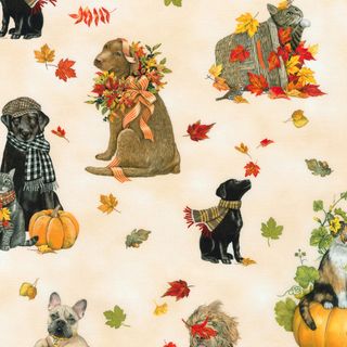 AUTUMN CATS & DOGS