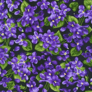 VIOLA
