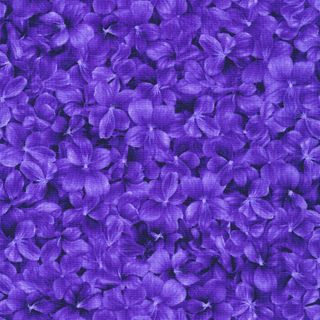 VIOLA