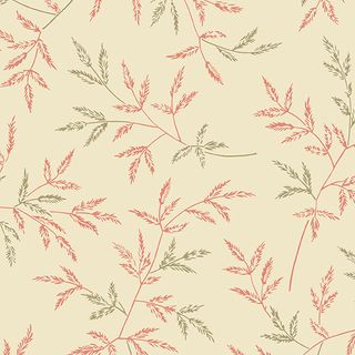 COCOA PINK LBQ