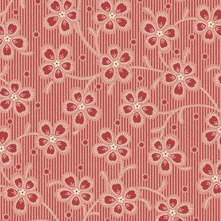 COCOA PINK LBQ