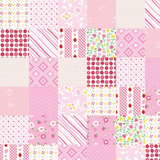 SARAH KAY : HERITAGE CHEATER QUILT