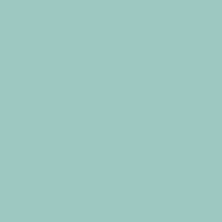 LBQ CENTURY SOLIDS