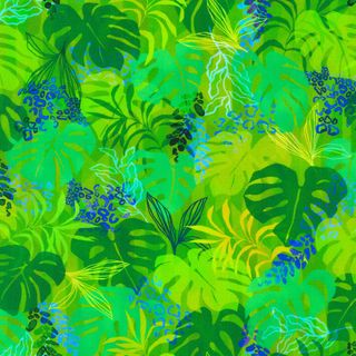 MIDNIGHT IN THE JUNGLE