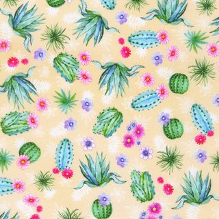 DESERT BLOOMS