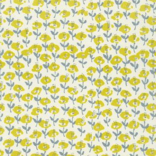 LE MIDI LAWN