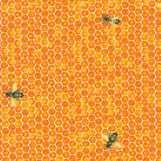 HONEY FLOWER