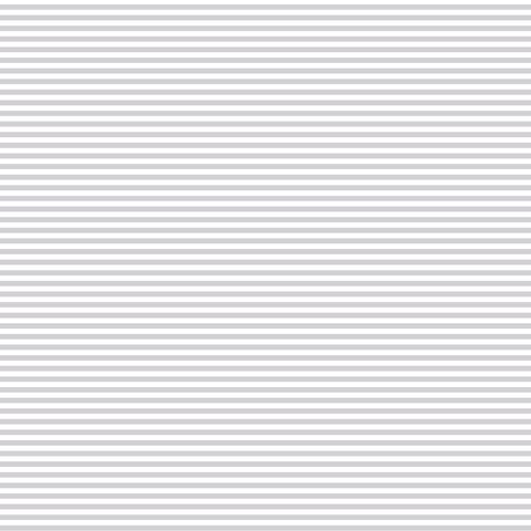 FUNDAMENTALS 1/8 STRIPE SILVER GUM