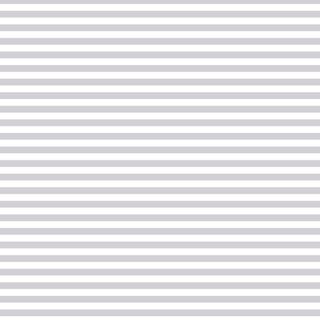 FUNDAMENTALS 1/4 STRIPE SILVER GUM