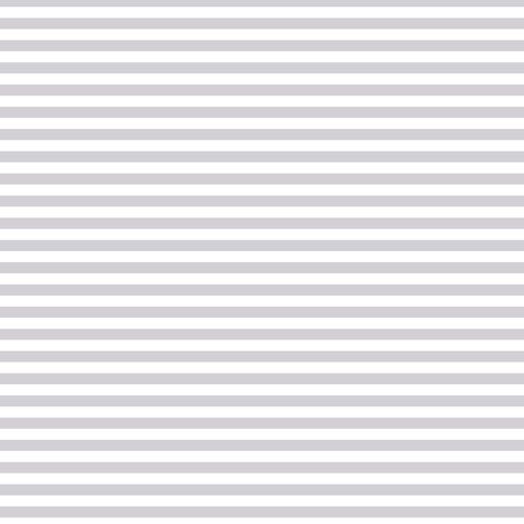 FUNDAMENTALS 1/4 STRIPE SILVER GUM