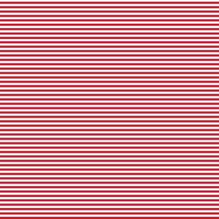 FUNDAMENTALS 1/8 STRIPE RED DELICIOUS