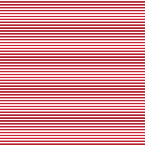 FUNDAMENTALS 1/8 STRIPE RED DELICIOUS