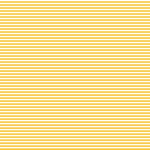 FUNDAMENTALS 1/8 STRIPE SUNNYSIDE