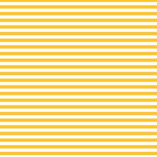 FUNDAMENTALS 1/4 STRIPE SUNNYSIDE