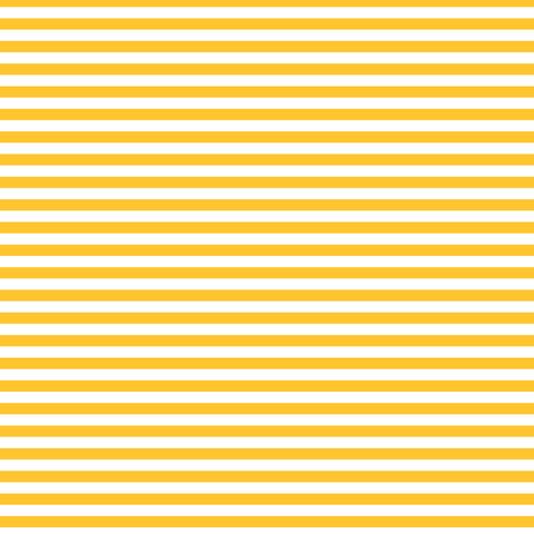 FUNDAMENTALS 1/4 STRIPE SUNNYSIDE