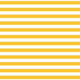 #FUNDAMENTALS 1/2 STRIPE SUNNYSIDE