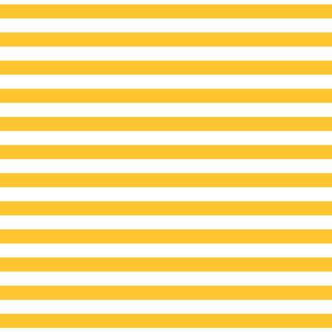 #FUNDAMENTALS 1/2 STRIPE SUNNYSIDE