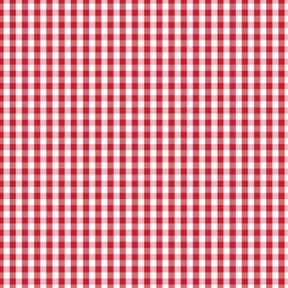 FUNDAMENTALS CHECK RED DELICIOUS