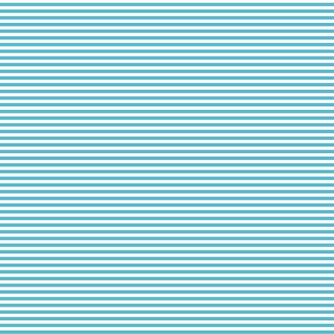 FUNDAMENTALS 1/8 STRIPE BARRIER BLUE