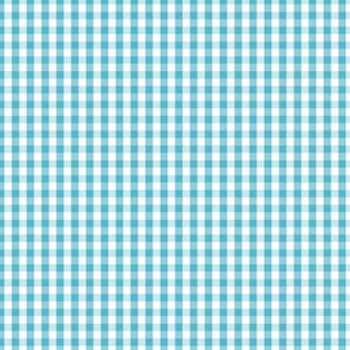 FUNDAMENTALS CHECK BARRIER BLUE